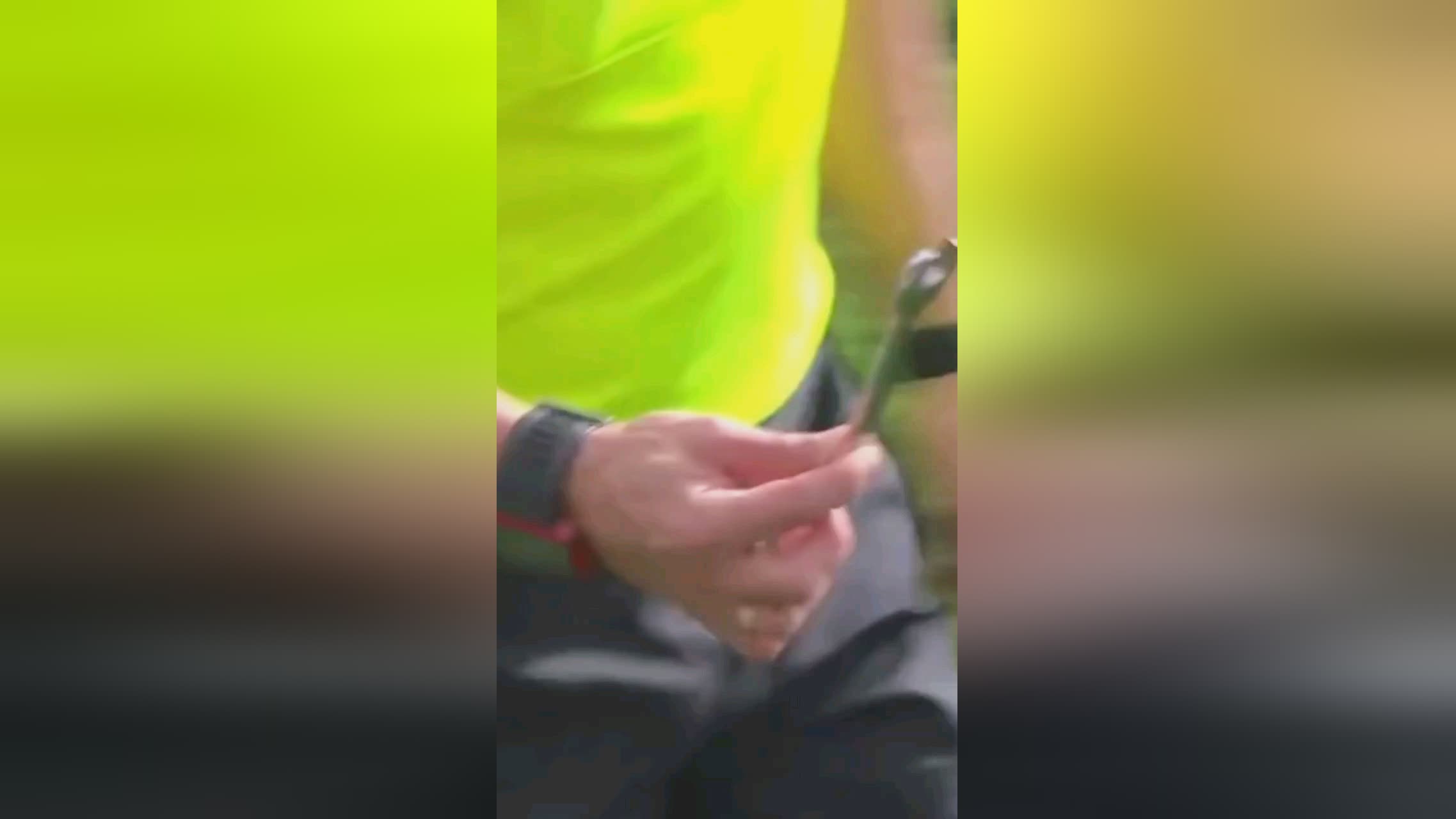 高的模特之